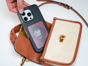 Reink Case C2