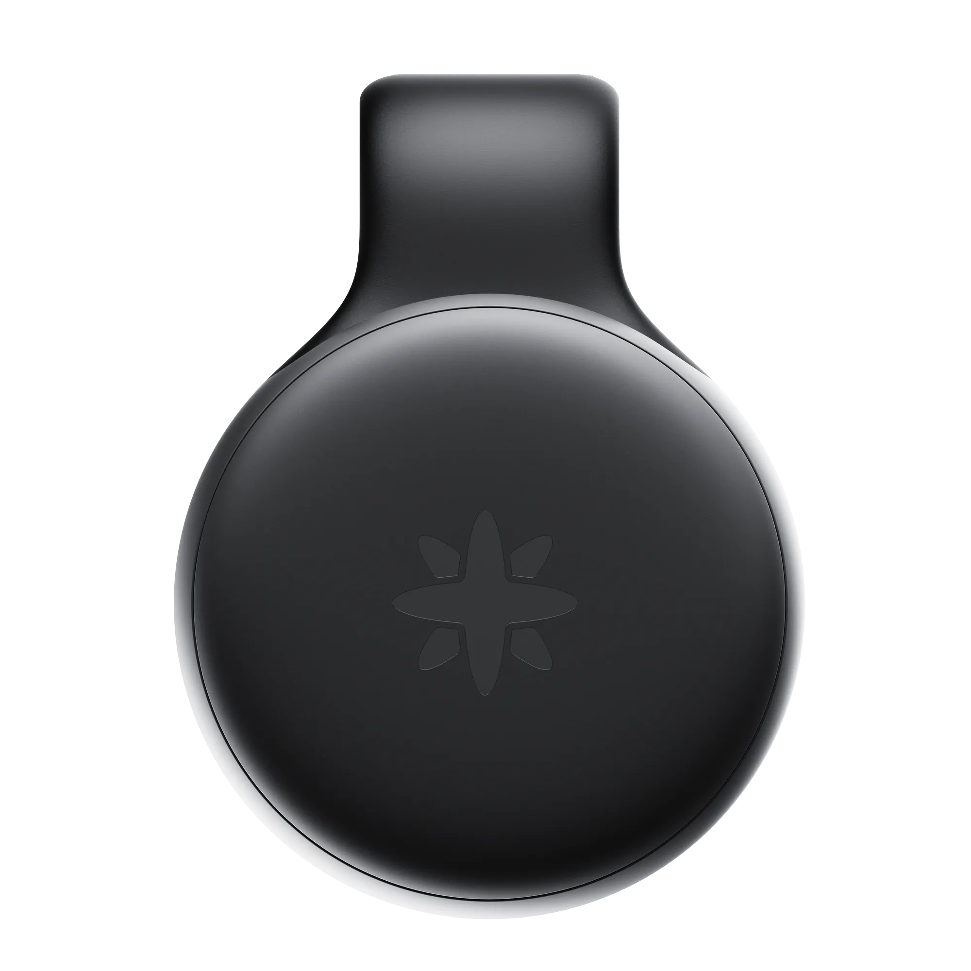 Limitless Pendant AI Companion