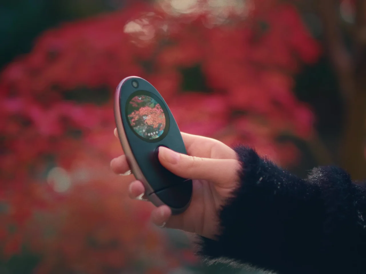 Kyu Camera