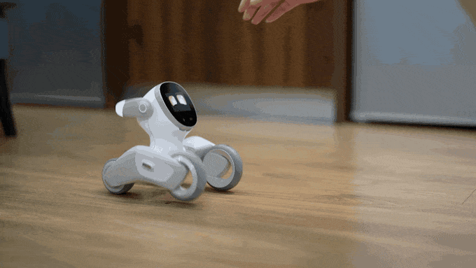loona robot