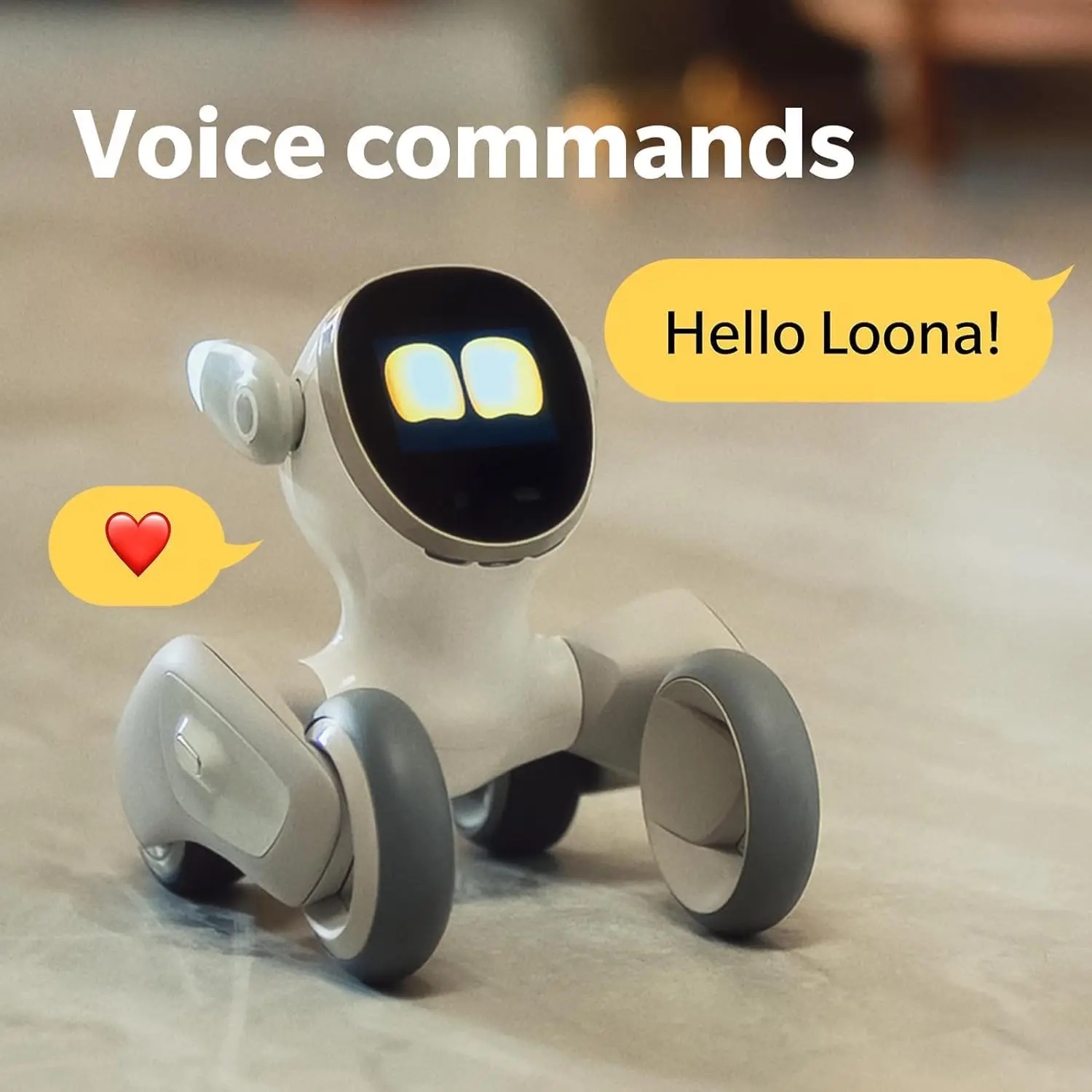 loona robot
