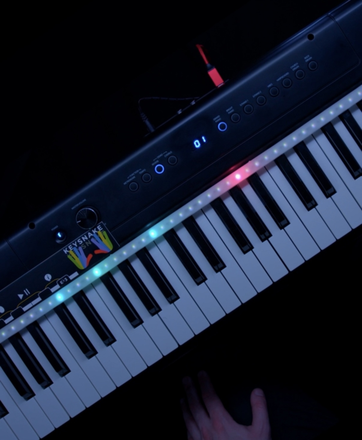 Keysnake 2 Review