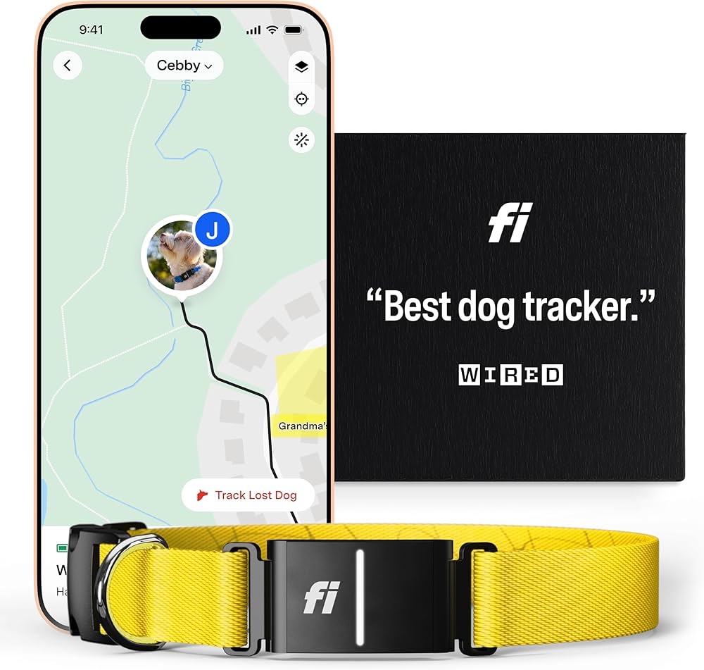 The Fi Series 3+ Smart Collar