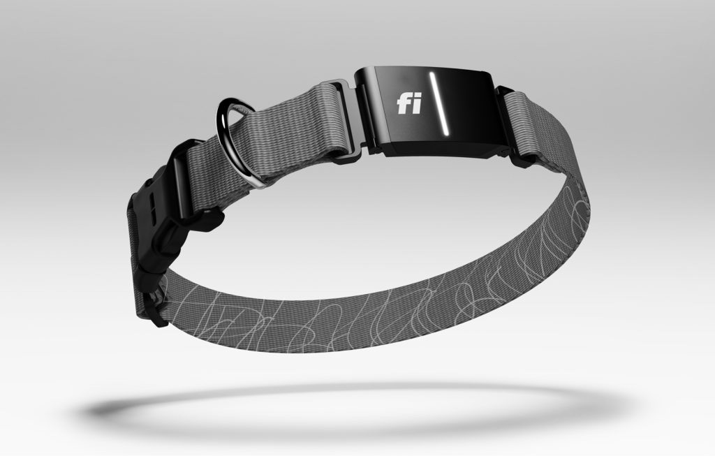 The Fi Series 3+ Smart Collar