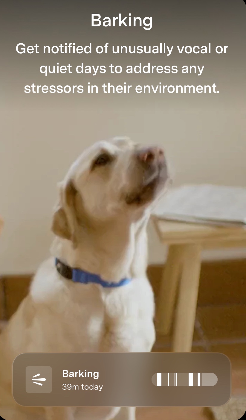 The Fi Series 3+ Smart Collar