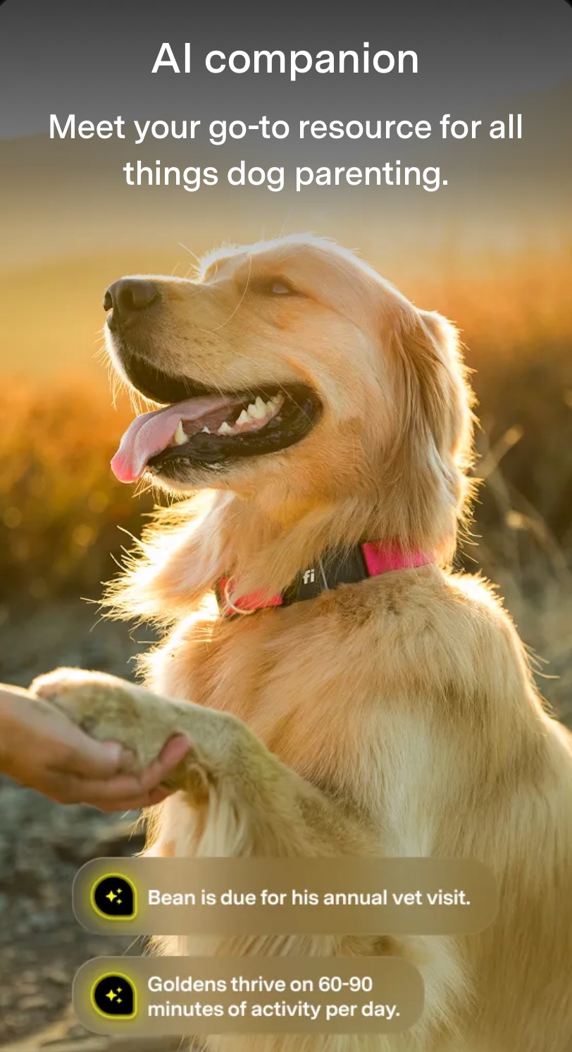 The Fi Series 3+ Smart Collar