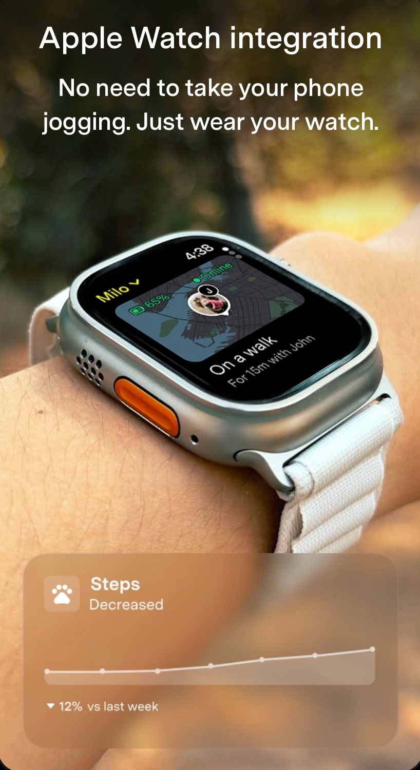 The Fi Series 3+ Smart Collar